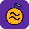 Bloxfruitz